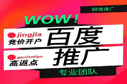 案例剖析：百度SEO推广公司如何助力企业飞速发展